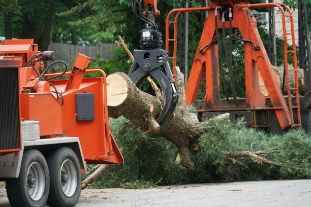 Lawn Watering Services in Saucier, MS